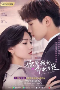 Ты моя судьба (китайская версия)