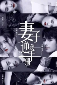 Руководство жены по контратаке