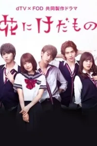 Цветок для зверя