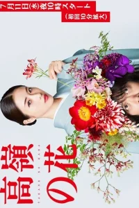 Цветок на вершине горы