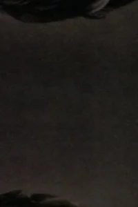 И миллион звёзд падает с небес