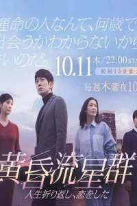 Словно падающие звезды в сумерках