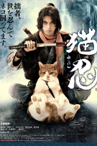 Ниндзя и кот